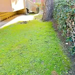 Golden Holidays Lavagna