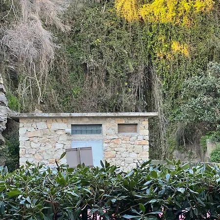 Апартаменты Golden Holidays *